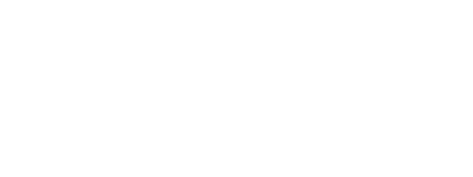 ワンワンフットボール